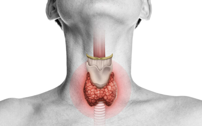 Έλεγχος θυρεοειδούς: Ποιες εξετάσεις χρειάζονται πραγματικά; Οδηγός από το EV-ANALYSIS