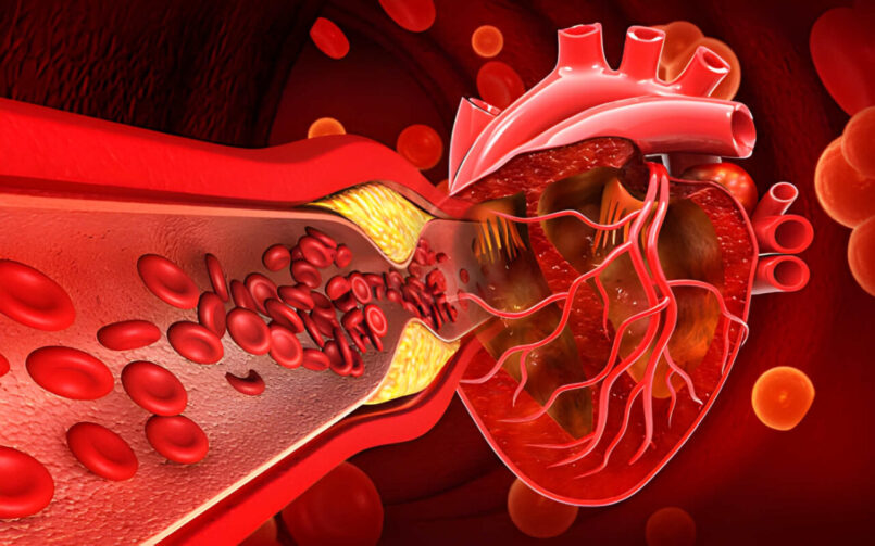 Χοληστερόλη & Τριγλυκερίδια: Φυσιολογικές Τιμές και Έλεγχος